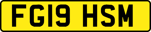 FG19HSM