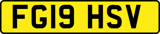 FG19HSV