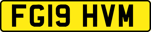 FG19HVM
