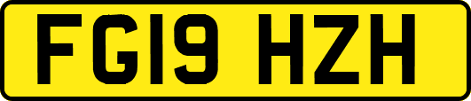 FG19HZH
