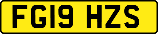 FG19HZS