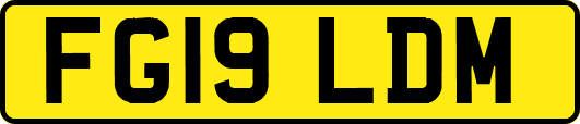 FG19LDM