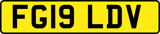 FG19LDV
