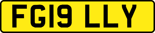 FG19LLY