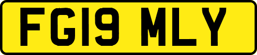 FG19MLY