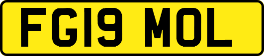 FG19MOL