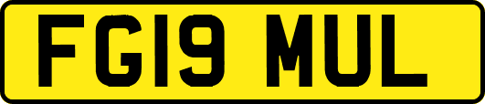 FG19MUL