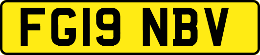 FG19NBV