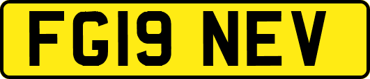 FG19NEV