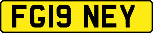 FG19NEY