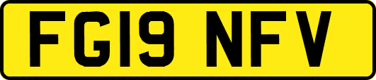 FG19NFV