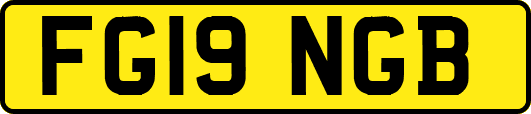 FG19NGB