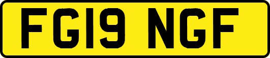 FG19NGF