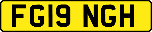 FG19NGH