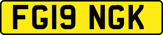 FG19NGK