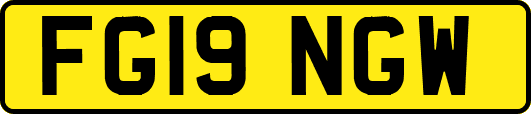 FG19NGW