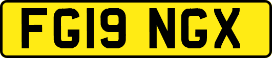 FG19NGX