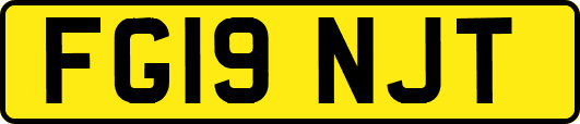 FG19NJT