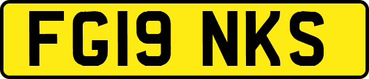 FG19NKS