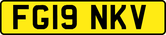 FG19NKV