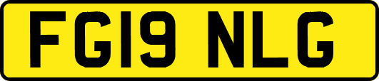 FG19NLG