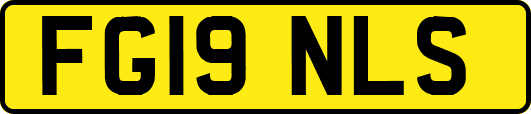 FG19NLS