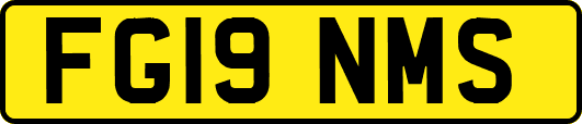 FG19NMS