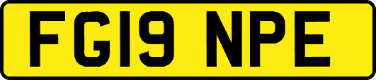 FG19NPE