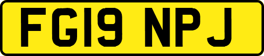 FG19NPJ