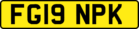 FG19NPK