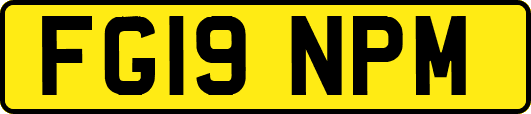 FG19NPM