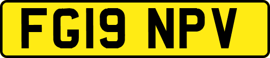 FG19NPV
