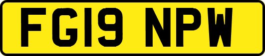 FG19NPW