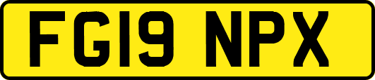 FG19NPX