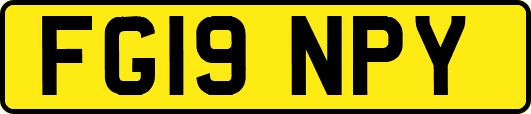 FG19NPY