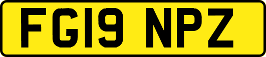 FG19NPZ