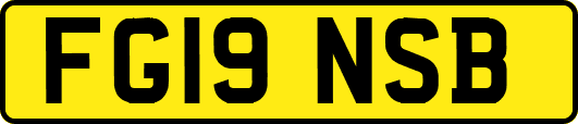 FG19NSB