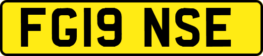 FG19NSE