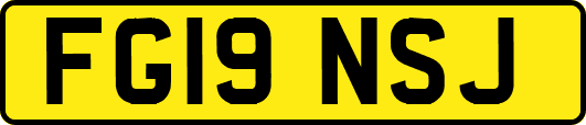 FG19NSJ