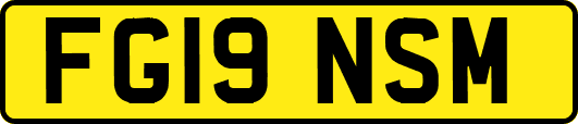 FG19NSM