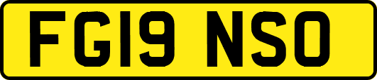 FG19NSO