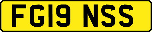 FG19NSS