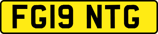 FG19NTG