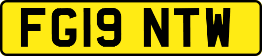 FG19NTW