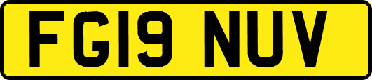 FG19NUV