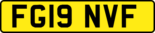 FG19NVF