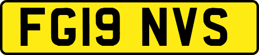 FG19NVS