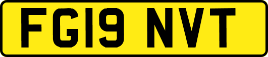 FG19NVT