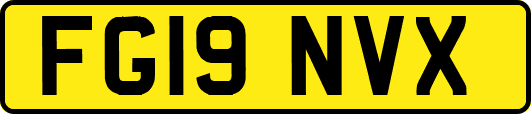 FG19NVX