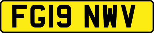 FG19NWV